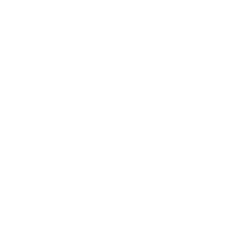 Wellsprings Mission